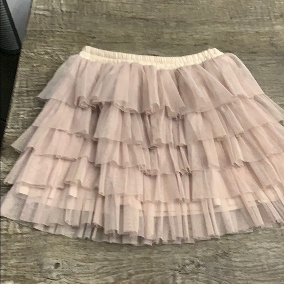 Zara Other - Zara tulle skirt